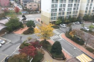 韓国相続人調査